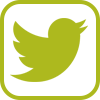 Logo Twitter IVRT